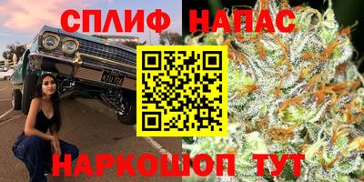 PSILOCYBIN Партизанск